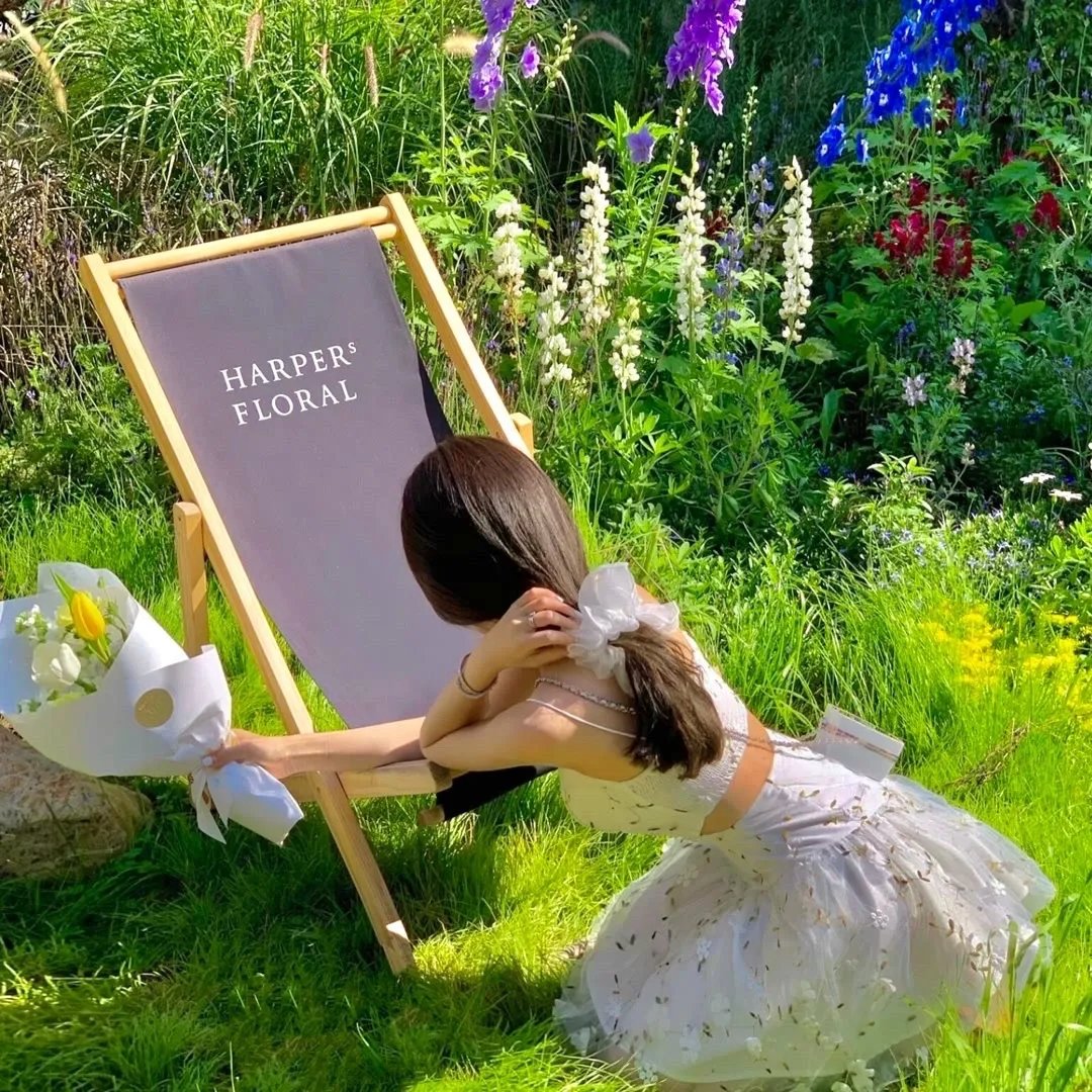 试婚后，总裁玩命要娶我