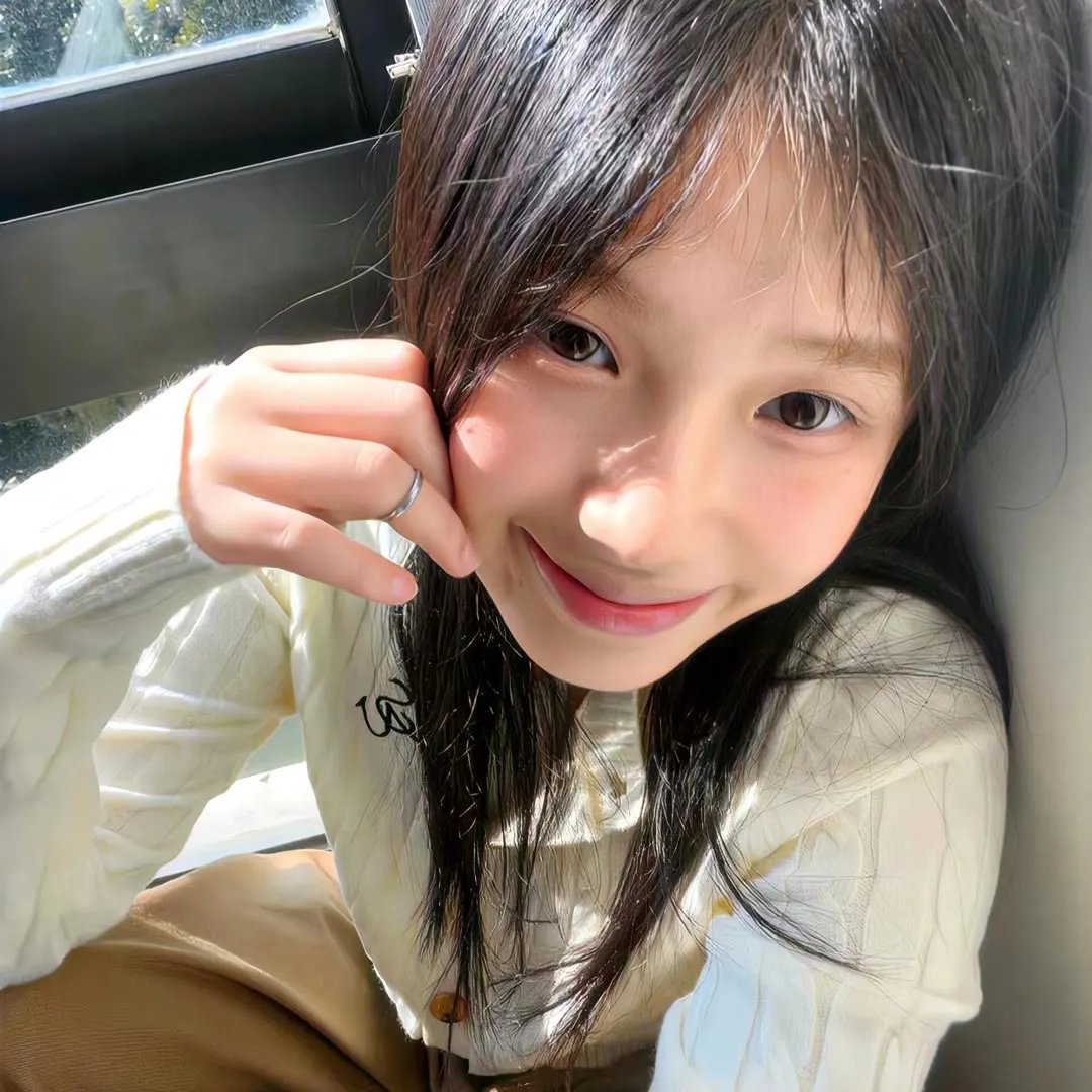 猫和老鼠在纽约